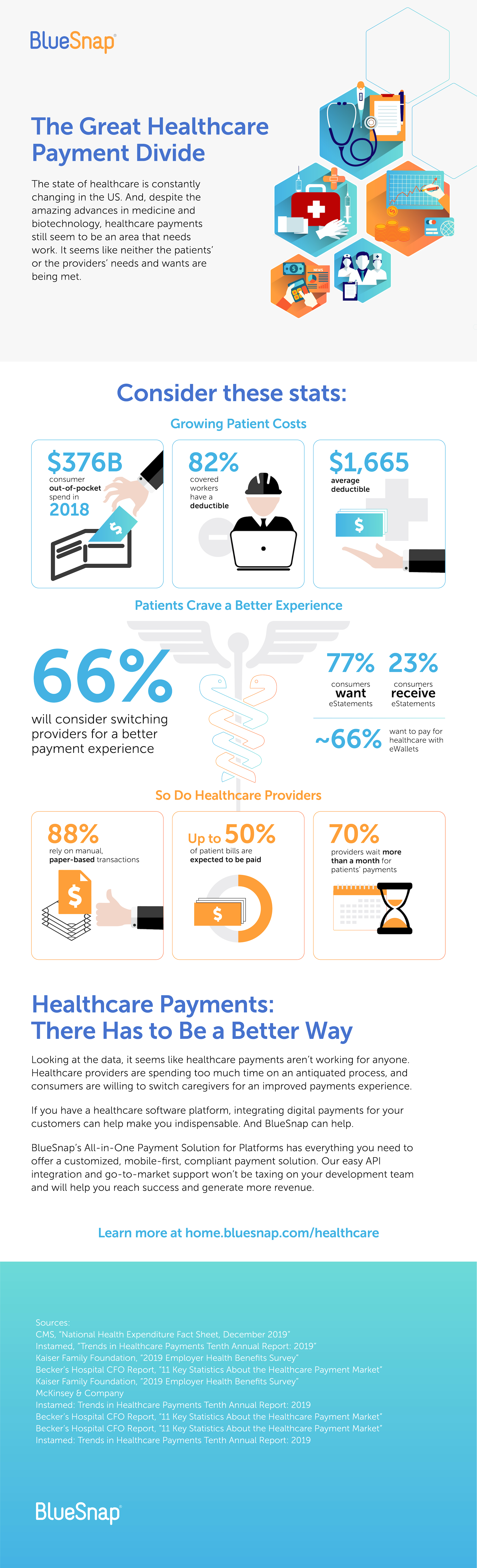 Healthcare Infographic from BlueSnap
